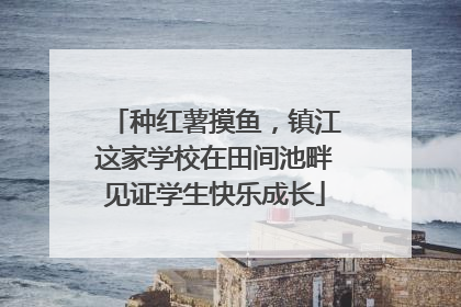 种红薯摸鱼，镇江这家学校在田间池畔见证学生快乐成长
