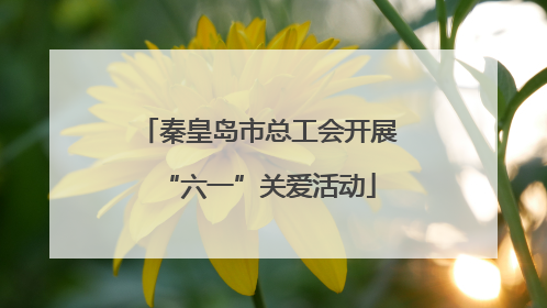 秦皇岛市总工会开展“六一”关爱活动