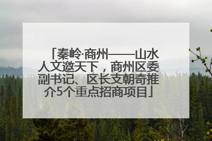 秦岭·商州——山水人文邀天下，商州区委副书记、区长支朝奇推介5个重点招商项目