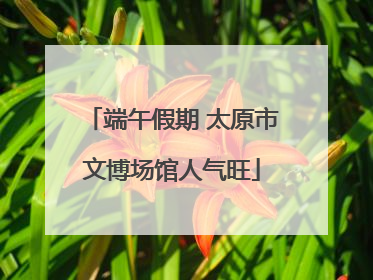 端午假期 太原市文博场馆人气旺