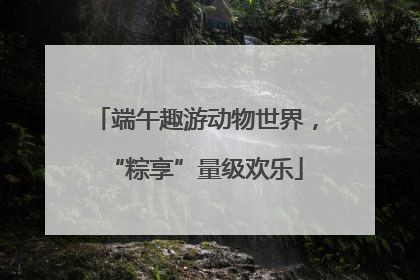 端午趣游动物世界，“粽享”量级欢乐