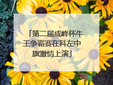第二届成峰杯牛王争霸赛在科左中旗激情上演