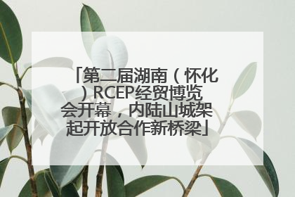 第二届湖南（怀化）RCEP经贸博览会开幕，内陆山城架起开放合作新桥梁