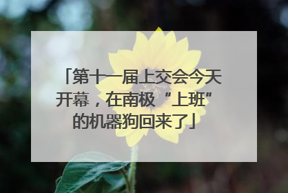 第十一届上交会今天开幕，在南极“上班”的机器狗回来了