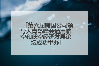 第六届跨国公司领导人青岛峰会通用航空和低空经济发展论坛成功举办