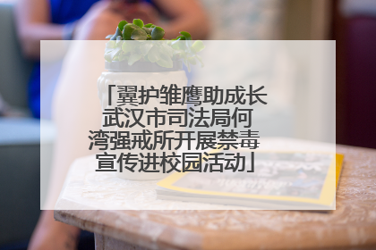 翼护雏鹰助成长 武汉市司法局何湾强戒所开展禁毒宣传进校园活动
