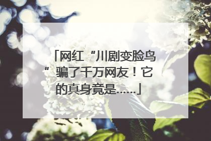 网红“川剧变脸鸟”骗了千万网友！它的真身竟是……