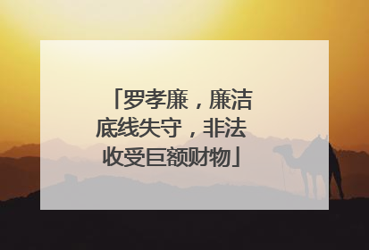 罗孝廉，廉洁底线失守，非法收受巨额财物