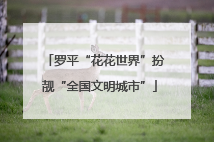 罗平“花花世界”扮靓“全国文明城市”