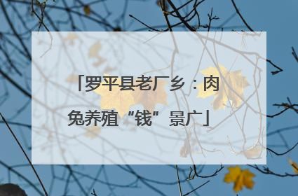 罗平县老厂乡：肉兔养殖“钱”景广
