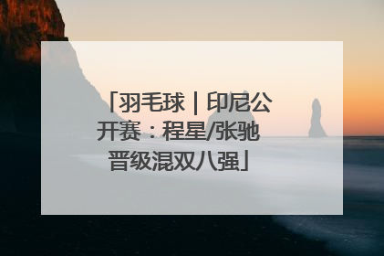 羽毛球｜印尼公开赛：程星/张驰晋级混双八强