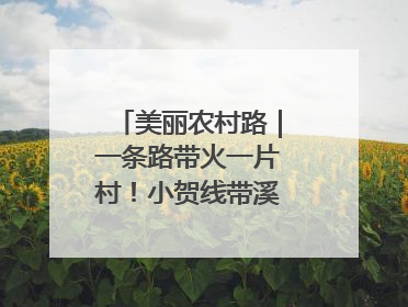 美丽农村路｜一条路带火一片村！小贺线带溪望谷成团出道