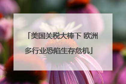 美国关税大棒下 欧洲多行业恐陷生存危机