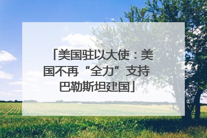 美国驻以大使：美国不再“全力”支持巴勒斯坦建国