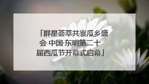 群星荟萃共襄瓜乡盛会 中国·东明第二十届西瓜节开幕式启幕