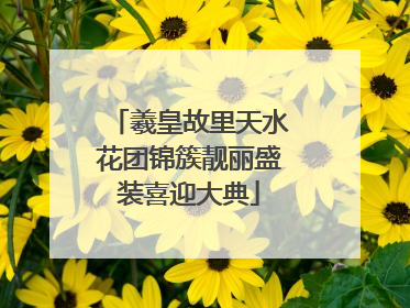 羲皇故里天水花团锦簇靓丽盛装喜迎大典