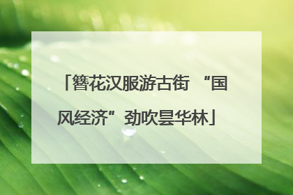 簪花汉服游古街 “国风经济”劲吹昙华林