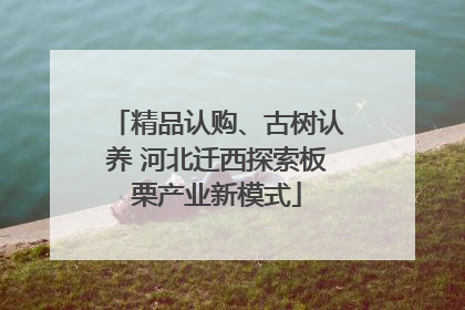 精品认购、古树认养 河北迁西探索板栗产业新模式