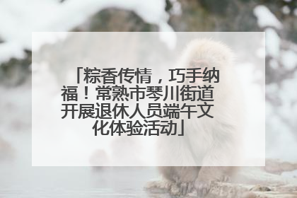 粽香传情，巧手纳福！常熟市琴川街道开展退休人员端午文化体验活动