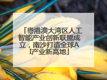 粤港澳大湾区人工智能产业创新联盟成立，南沙打造全球AI产业新高地