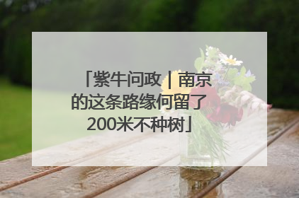紫牛问政｜南京的这条路缘何留了200米不种树