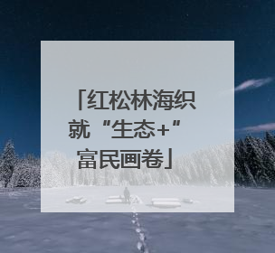 红松林海织就“生态+”富民画卷