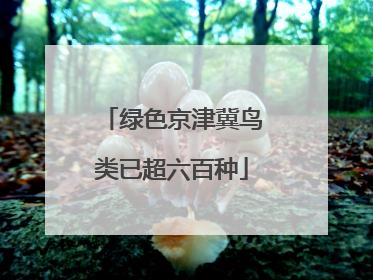 绿色京津冀鸟类已超六百种