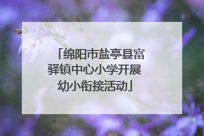 绵阳市盐亭县富驿镇中心小学开展幼小衔接活动