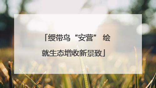 绶带鸟“安营” 绘就生态增收新景致