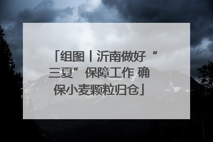 组图丨沂南做好“三夏”保障工作 确保小麦颗粒归仓