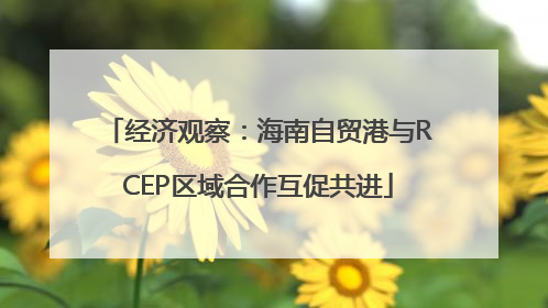 经济观察：海南自贸港与RCEP区域合作互促共进