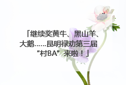 继续奖黄牛、黑山羊、大鹅……昆明禄劝第三届“村BA”来啦！