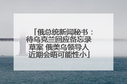 俄总统新闻秘书：待乌克兰回应备忘录草案 俄美乌领导人近期会晤可能性小