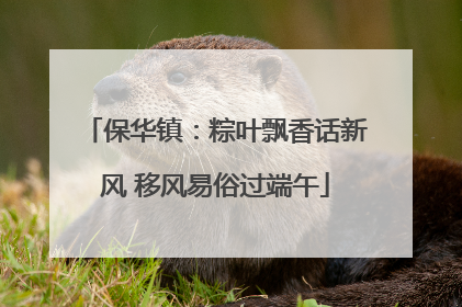 保华镇：粽叶飘香话新风 移风易俗过端午