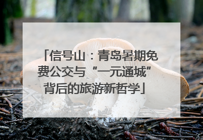 信号山：青岛暑期免费公交与“一元通城”背后的旅游新哲学