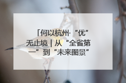 何以杭州·“优”无止境｜从“全省第一”到“未来图景” 余杭加速航行