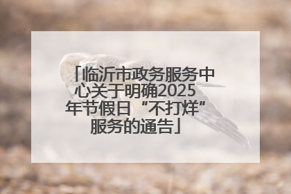 临沂市政务服务中心关于明确2025年节假日“不打烊”服务的通告