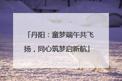 丹阳：童梦端午共飞扬，同心筑梦启新航