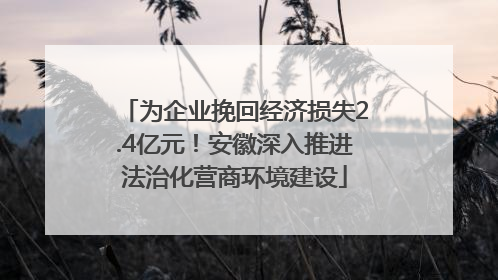 为企业挽回经济损失2.4亿元！安徽深入推进法治化营商环境建设