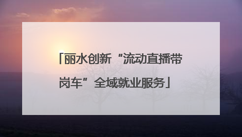 丽水创新“流动直播带岗车”全域就业服务