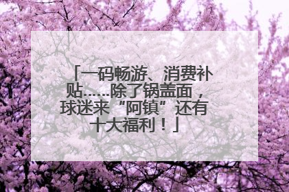 一码畅游、消费补贴……除了锅盖面，球迷来“阿镇”还有十大福利！