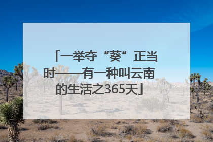 一举夺“葵”正当时——有一种叫云南的生活之365天