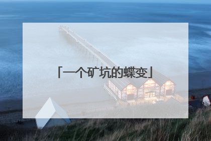 一个矿坑的蝶变