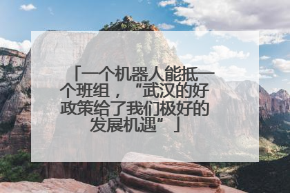 一个机器人能抵一个班组，“武汉的好政策给了我们极好的发展机遇”