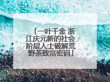 一叶千金 浙江庆元新的社会阶层人士破解荒野茶致富密码