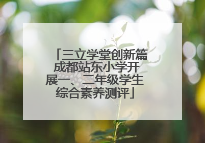 三立学堂创新篇 成都站东小学开展一、二年级学生综合素养测评
