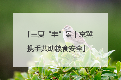 三夏“丰”景｜京冀携手共助粮食安全