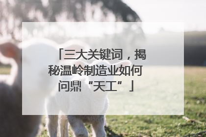 三大关键词，揭秘温岭制造业如何问鼎“天工”