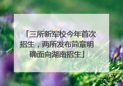 三所新军校今年首次招生，两所发布简章明确面向湖南招生
