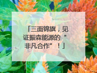 三面锦旗，见证振森能源的“非凡合作”！